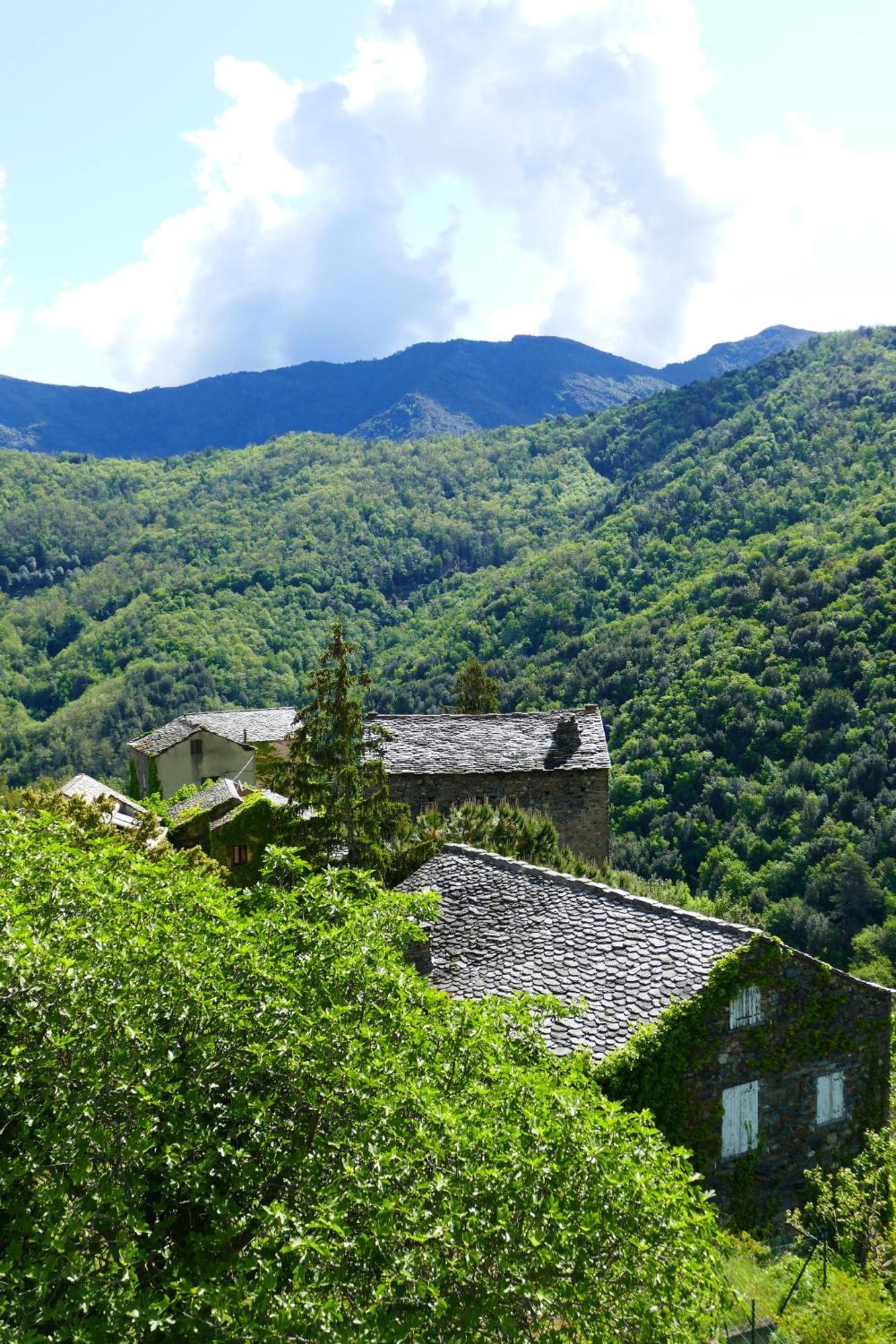 Casa Surgente Bed & Breakfast Carcheto Dış mekan fotoğraf